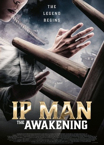 Ip Man - The Awakening - Poster 3