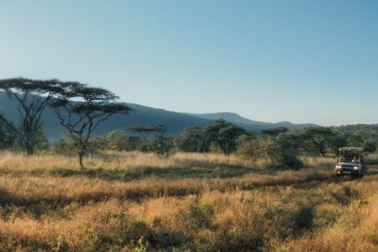 Thabo - Das Nashorn-Abenteuer - Szenenbild 6