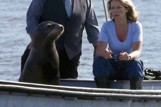 Hallo Robbie! - Staffel 4 - Szenenbild 4