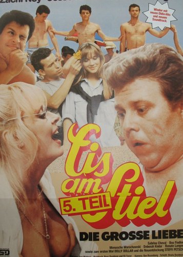 Eis am Stiel 5 - Die große Liebe - Poster 1