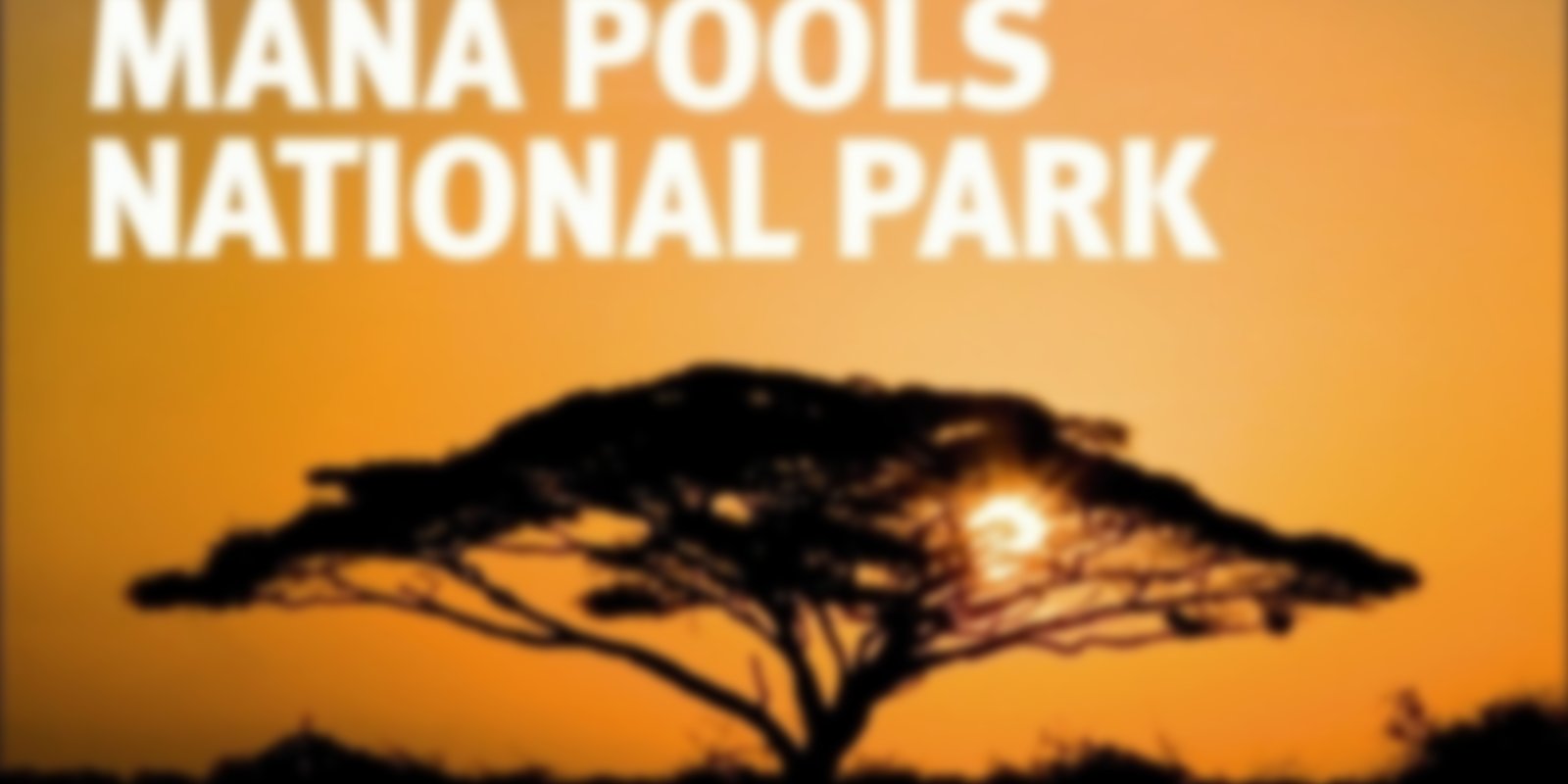 Discovery Channel HD - Botswana Safari & Mana Pools National Park