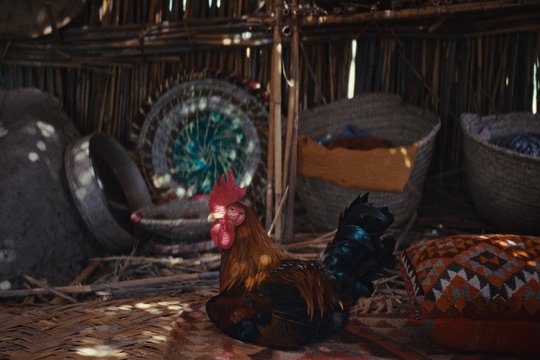 Ein Kuchen für den Präsidenten - Szenenbild 17