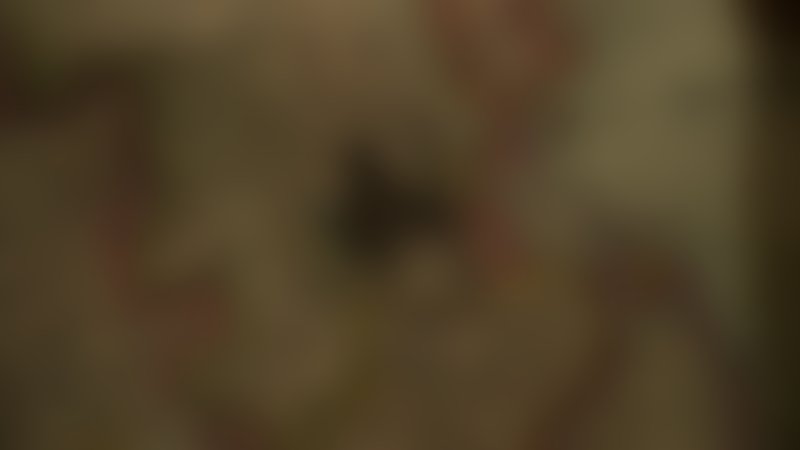 Lovecraft Country - Staffel 1 - Teaser - Englisch - SD