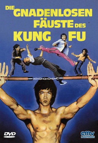 Die gnadenlosen Fäuste des Kung Fu - Cover B - Limited Edition auf 500 Stück (DVD), neu