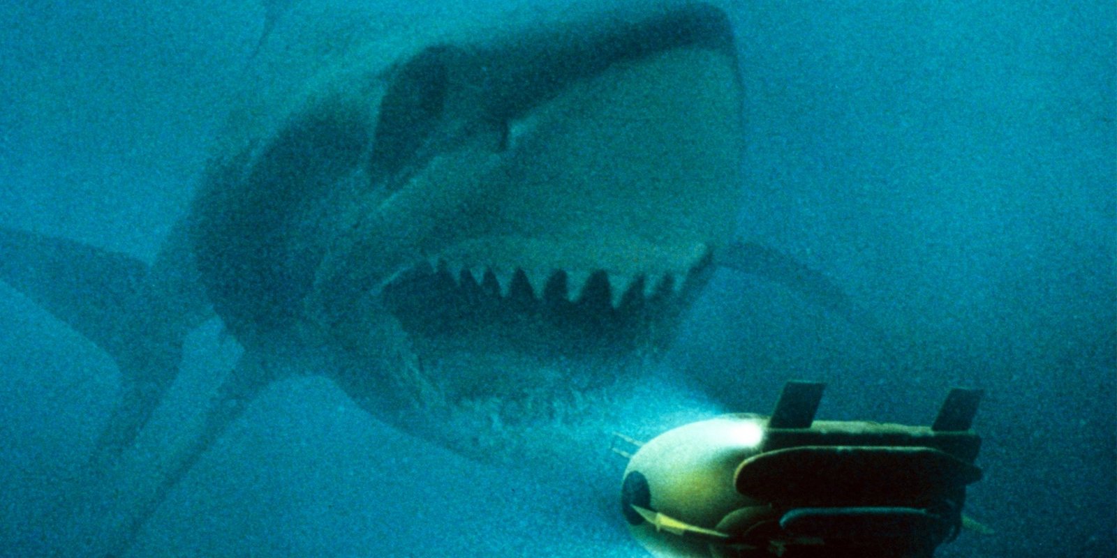 Shark Attack 3