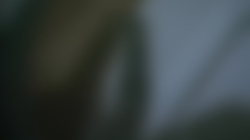 Proxy - Trailer - Englisch - SD
