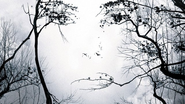 Die Vorahnung - Wallpaper 5