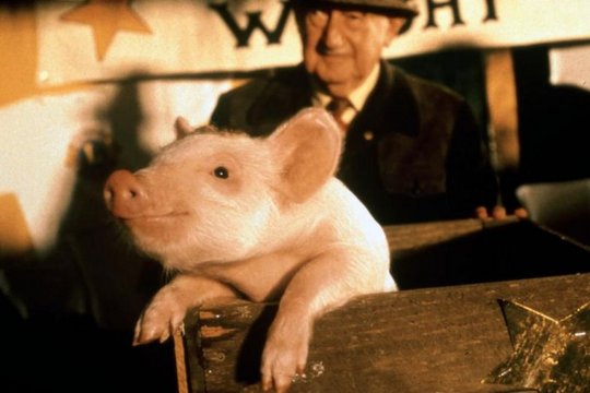 Ein Schweinchen namens Babe - Szenenbild 8