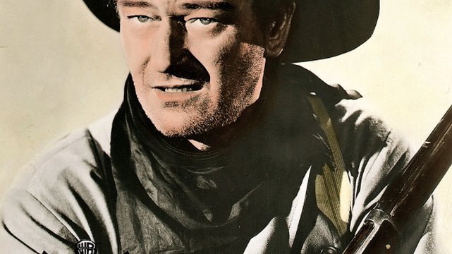 Der schwarze Falke - Wallpaper 10