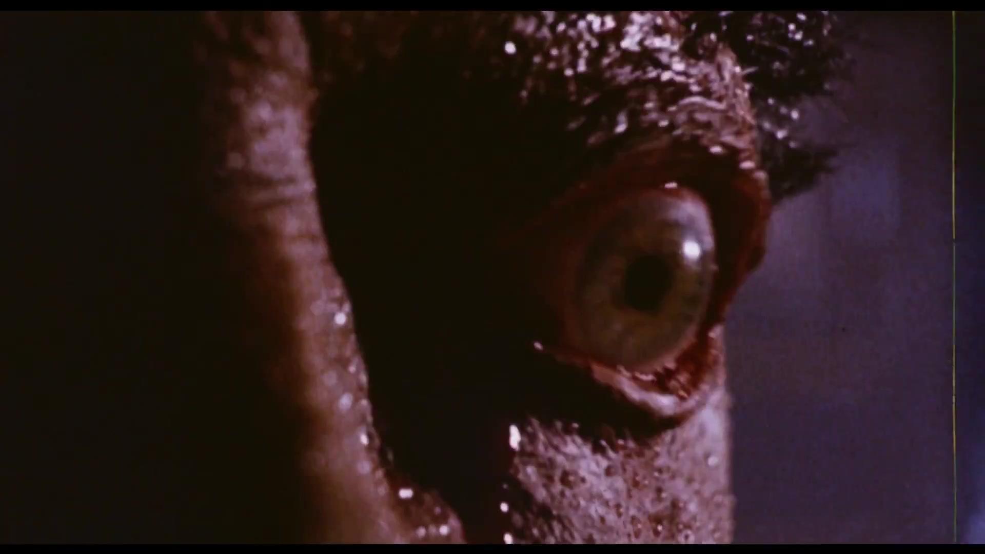 Das Nest - Brutstätte des Grauens - Trailer - Englisch - HD