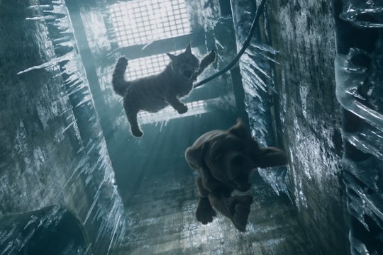 Miau & Wau - Szenenbild 10