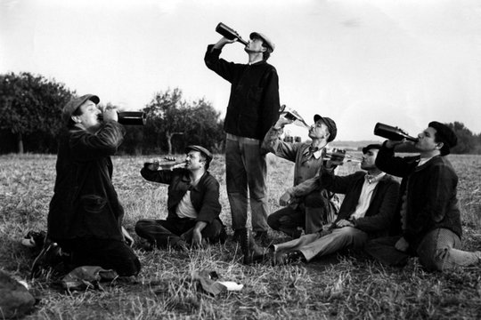 Der Krieg der Knöpfe - Das Original - Szenenbild 5