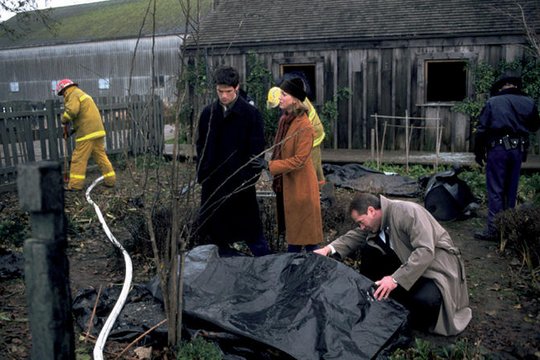 Glory Days: CSL - Crime Scene Lake Glory - Szenenbild 1