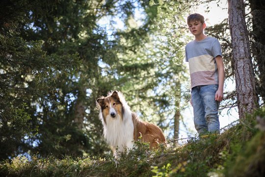 Lassie 2 - Ein neues Abenteuer - Szenenbild 38