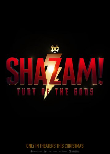 Shazam! 2 - Fury of the Gods - Poster 8