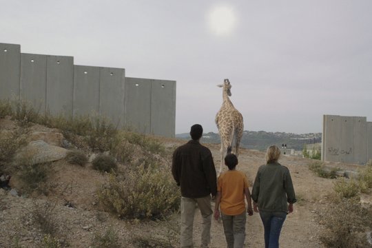 Giraffada - Szenenbild 9