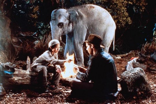 Indiana Jones und der Tempel des Todes - Szenenbild 6