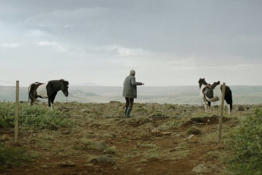 Von Menschen und Pferden - Szenenbild 10