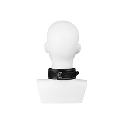 Furry Collar with Leash
