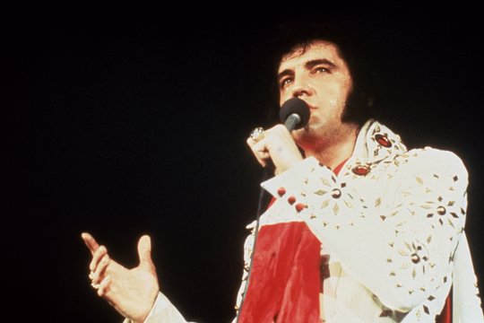 Elvis on Tour - Szenenbild 4