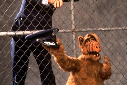 Alf - Der Film - Szenenbild 6