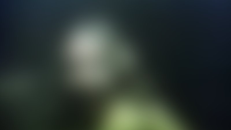 Freitag der 13. - Teaser - Englisch - SD