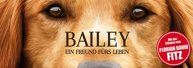 Hund Bailey nach des Lebens