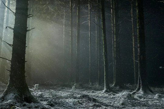 Werwulf - Szenenbild 1