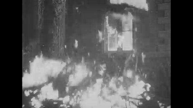 Panik um King Kong - Trailer - Deutsch - SD