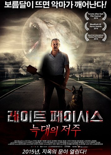 Late Phases - Poster 4