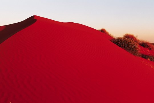 Wildes Australien - Die komplette Serie - Szenenbild 2