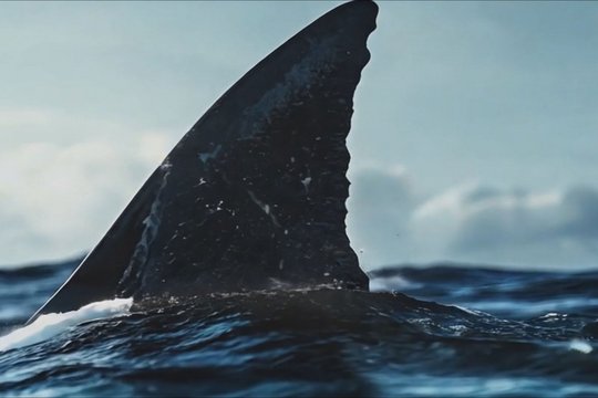 Chum - Szenenbild 8