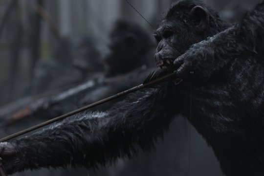 Der Planet der Affen 3 - Survival - Szenenbild 3