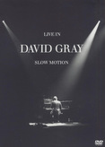 David Gray - Live in Slow Motion