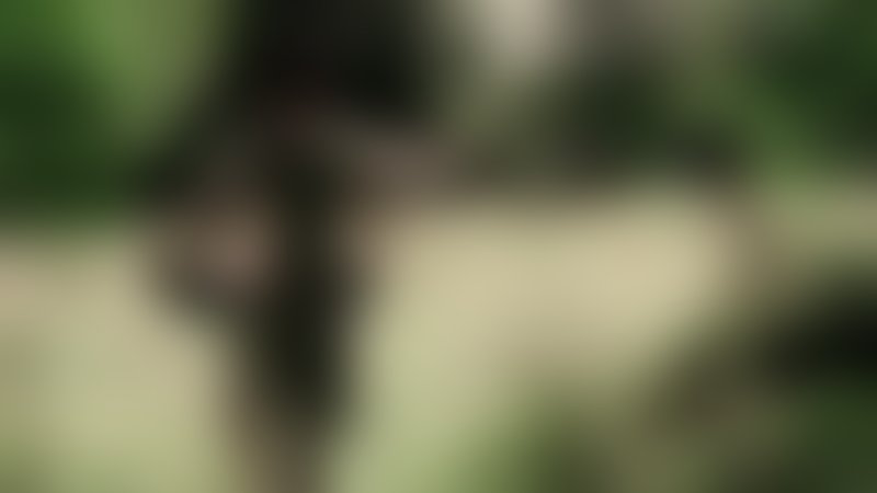 Das Liebesversteck - Trailer - Deutsch - SD