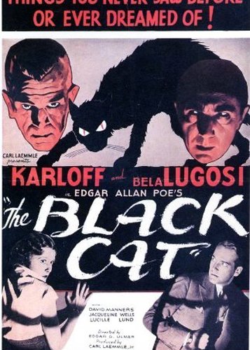Die schwarze Katze - Poster 10