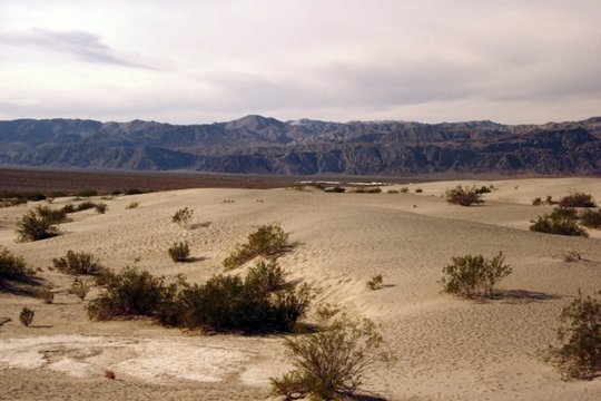 Desert Dreamers - Szenenbild 1