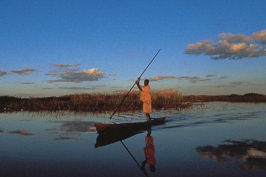 Wildes Afrika - Die komplette Serie - Szenenbild 1