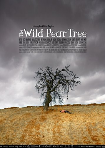 The Wild Pear Tree - Poster 4