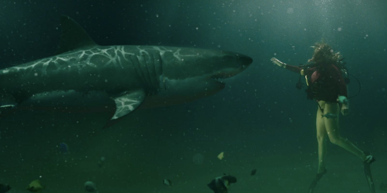 Into the Deep