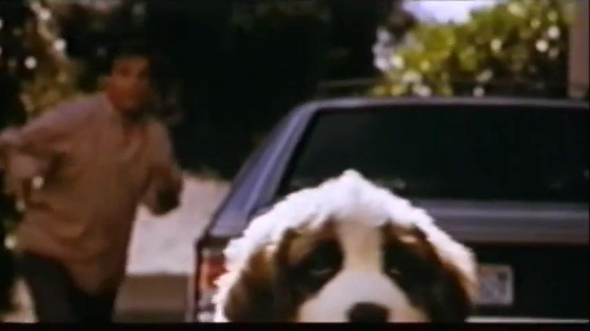 Beethoven 2 - Eine Familie namens Beethoven - Trailer - Deutsch - SD