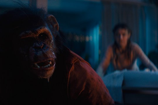 Primate - Szenenbild 7
