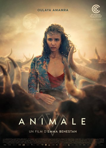 Animale - Poster 2