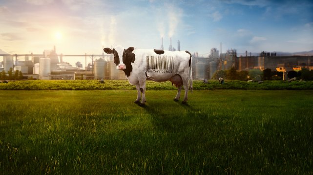 Food, Inc. 2 - Wallpaper 3