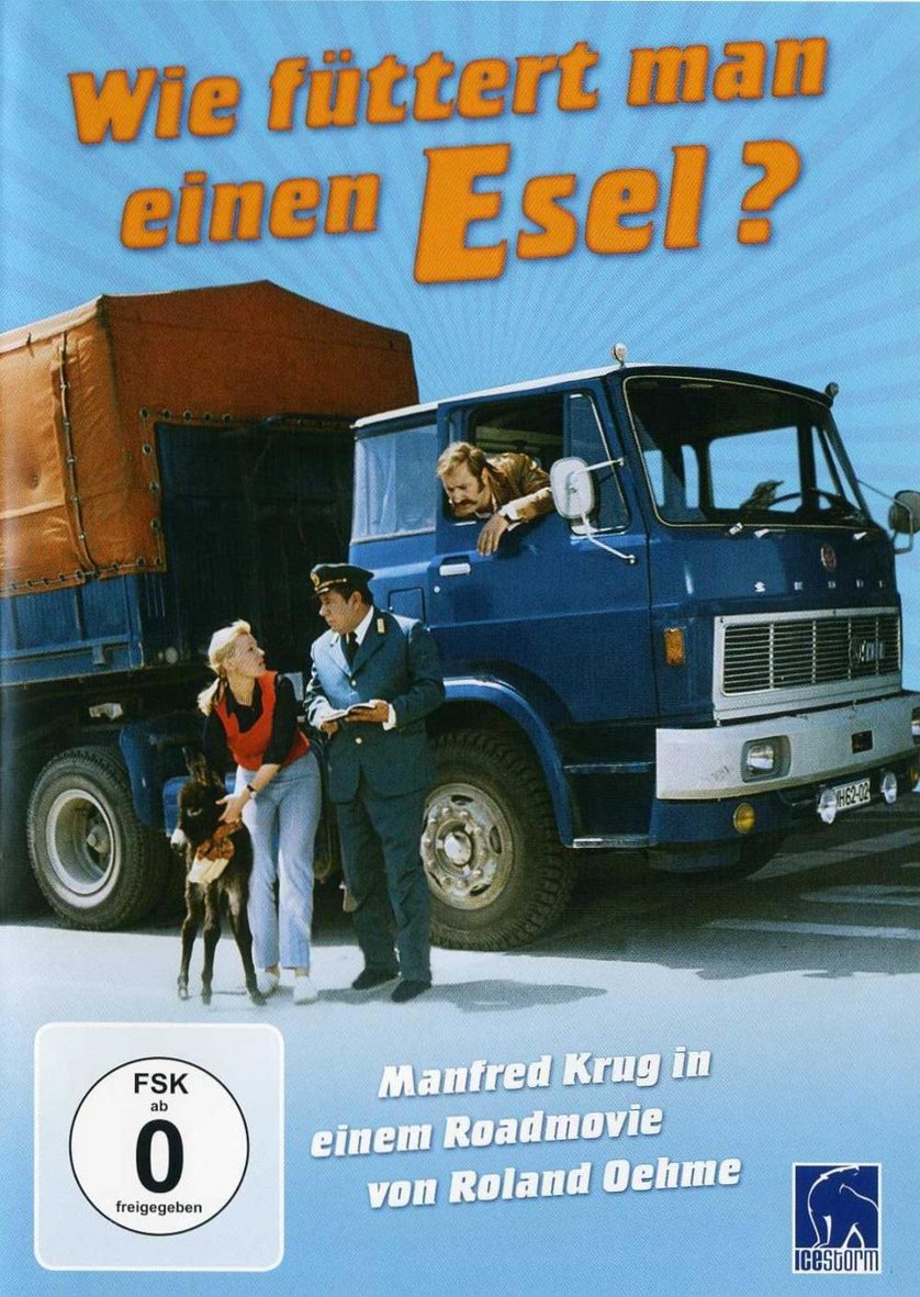 Wie Füttert Man Einen Esel Wie Füttert Man Einen Esel