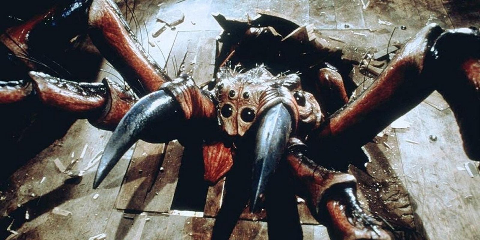 Spiders