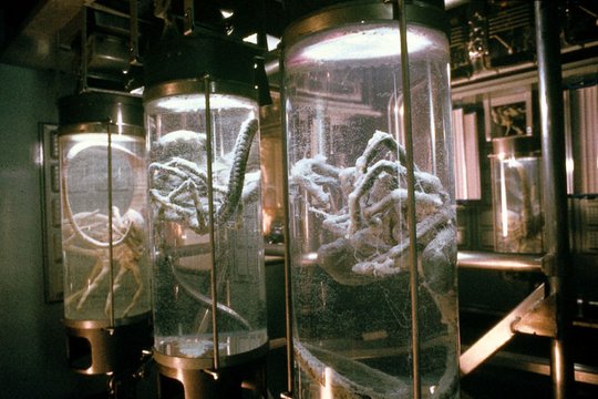 Alien 2 - Aliens - Szenenbild 5