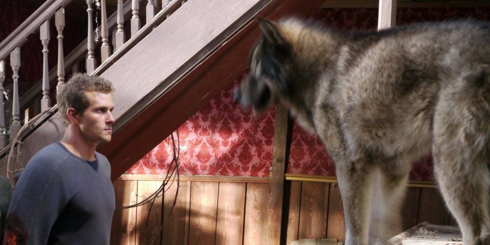 Wolf Town