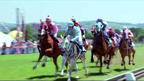 Stripes - Ein Zebra im Rennstall - Teaser - Englisch - SD