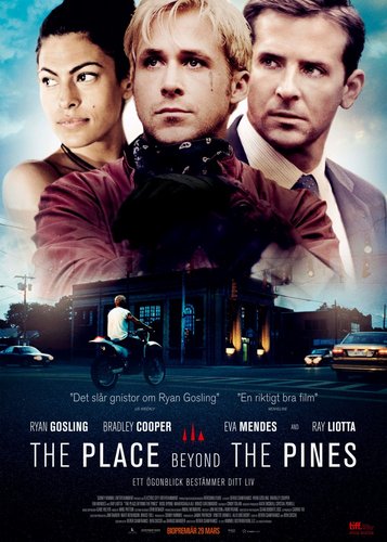 The Place Beyond the Pines - Poster 11